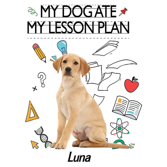 "My Dog ate my Lesson Plan" Handcraft Tee