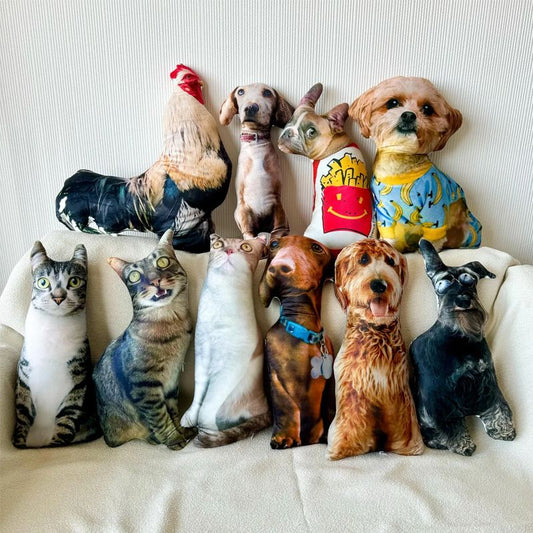 "Cute Pet" Handcraft Pillow