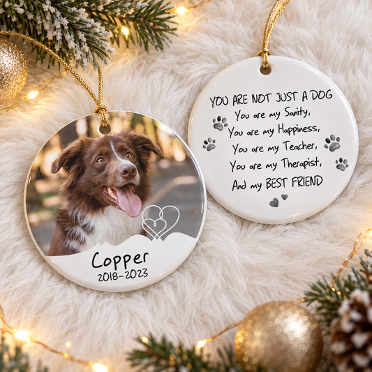 Pet Memorial Photo Christmas Handcraft Ornament