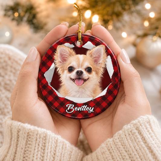 Pet Photo Christmas Handcraft Ornament