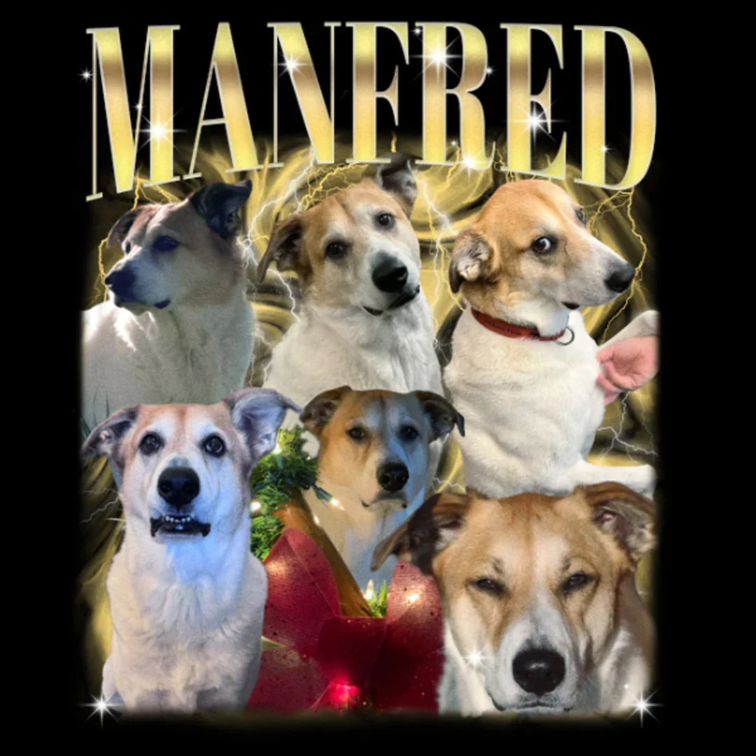 Pet Handcraft Tee - Histozing